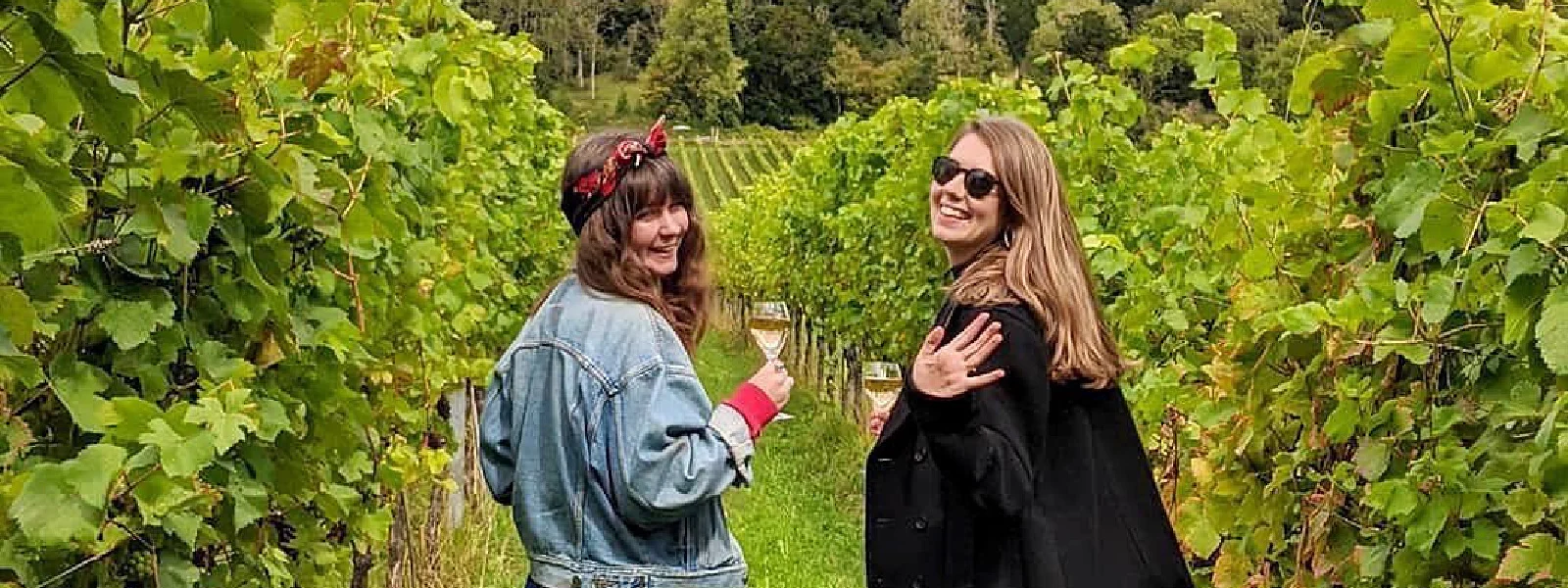 Award-Winning English Biodynamic Wines