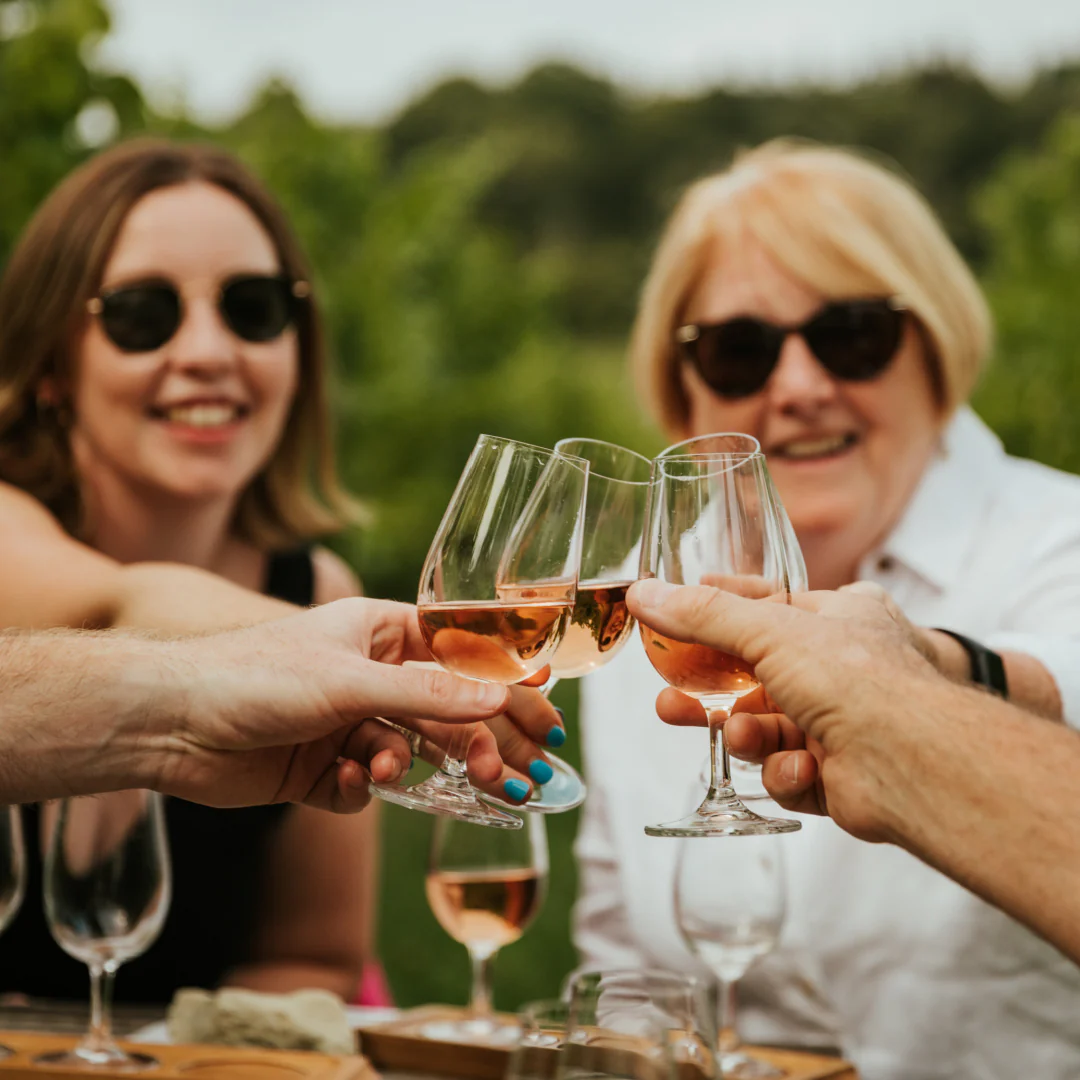 Vineyard Tour & Tasting - Image 4